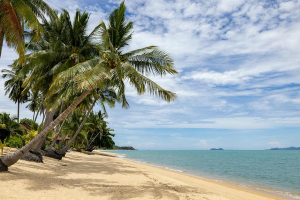Your Ultimate Guide to Organizing a Memorable Walking Tour of the Jurassic Coast