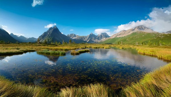 How can you explore the impact of the Industrial Revolution while touring Manchester?