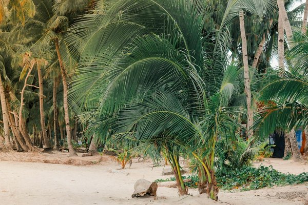 What are the environmental considerations when choosing a rental in the UK?